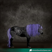 Horse Color:Void Painted White Spotted Silver Smoky Black Chinchilla Sabino 