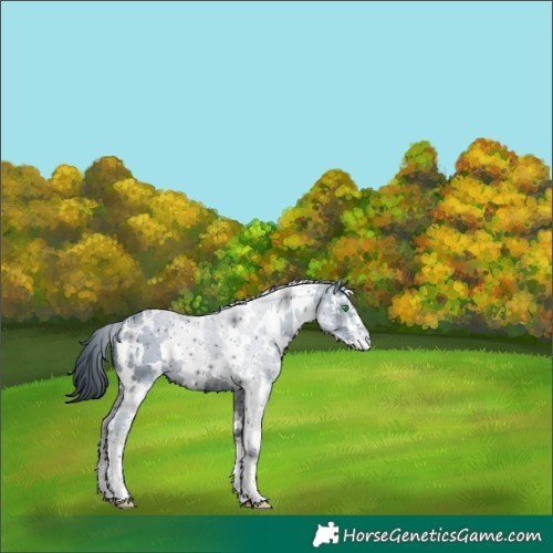 Horse Color:ERROR: UNKNOWN ANOMALY