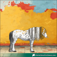 Horse Color:White Spotted Black Ice Tobiano Appaloosa Rabicano 
