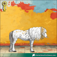 Horse Color:White Spotted Black Ice Tobiano Appaloosa Rabicano 