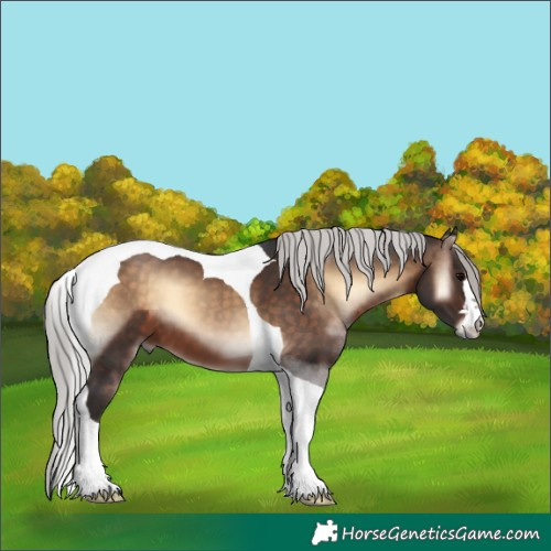 Horse Color:Silver Brown Onyx Tobiano 