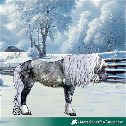 Horse Color:Watercolor White Spotted Silver Grullo Ice Mushroom Tobiano 