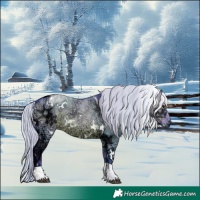 Horse Color:Watercolor White Spotted Silver Grullo Ice Mushroom Tobiano