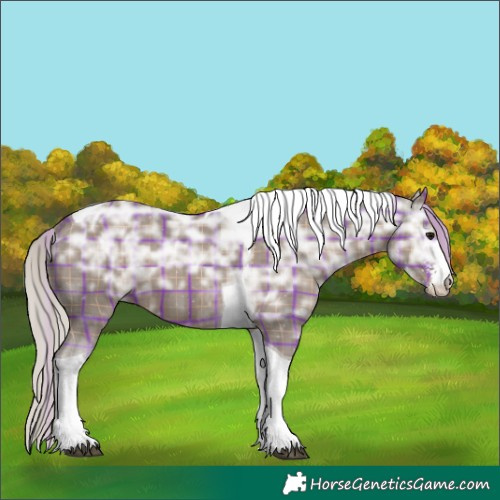 Horse Color:Plaid  Silver Black Ice Sabino Tobiano 