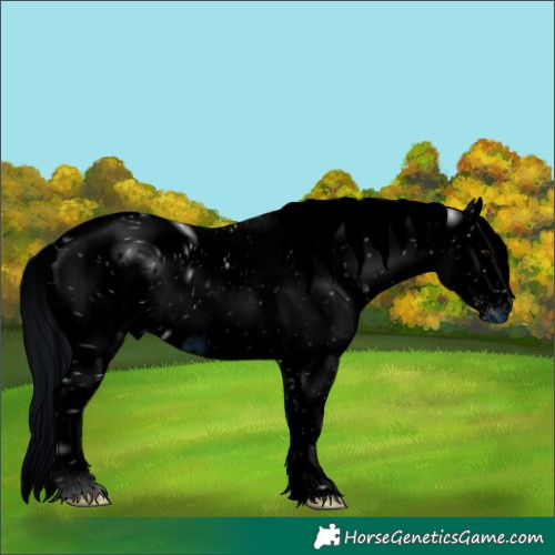 Horse Color:ERROR: UNKNOWN ANOMALY