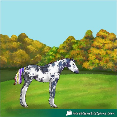 Horse Color:Painted Watercolor White Spotted Silver Brown Ice Splash Frame 