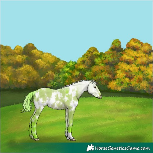 Horse Color:Watercolor White Spotted Liver Red Dun Mushroom 