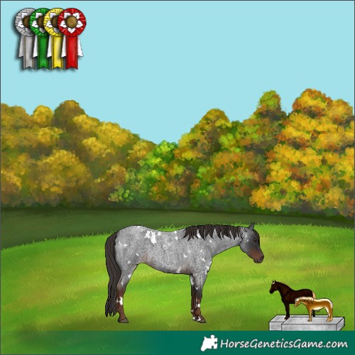 Horse Color:White Spotted Liver Red Roan 