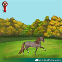 Horse Color:Liver Red Roan 