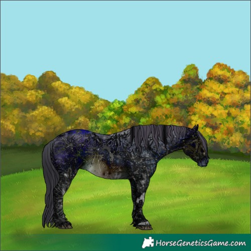 Horse Color:ERROR: UNKNOWN ANOMALY