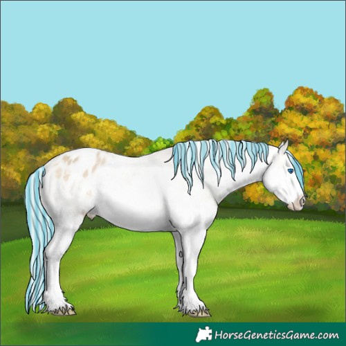 Horse Color:Painted Silver Buckskin Dun Splash Appaloosa 