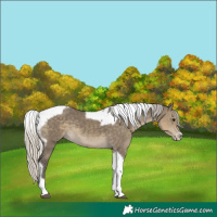 Horse Color:Silver Smoky Grullo Tobiano Frame