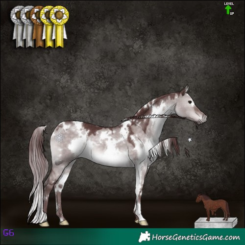 Horse Color:Platinum White Spotted Chocolate Brown Dun 
