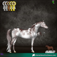 Horse Color:Platinum White Spotted Chocolate Brown Dun 