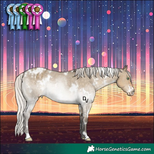 Horse Color:White Spotted Silver Smoky Grullo Appaloosa Rabicano 
