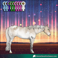 Horse Color:White Spotted Silver Smoky Grullo Appaloosa Rabicano 