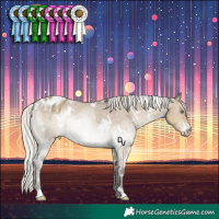 Horse Color:White Spotted Silver Smoky Grullo Appaloosa Rabicano 