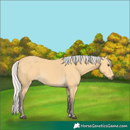 Horse Color:Silver Buckskin