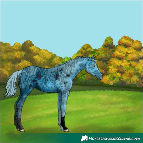 Horse Color:ERROR: UNKNOWN ANOMALY
