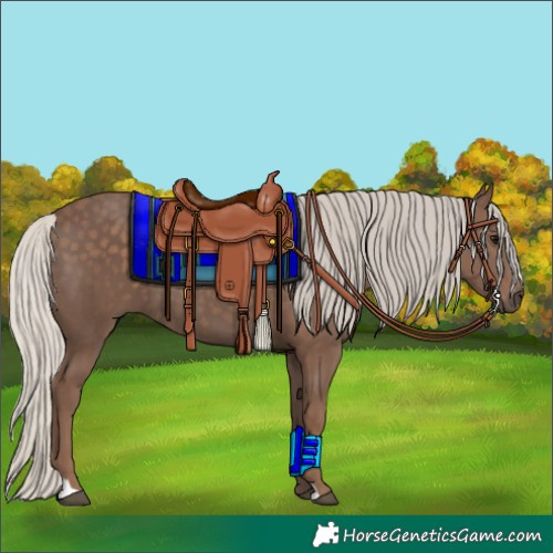 Horse Color:Silver Black 