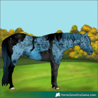 Horse Color:ERROR: UNKNOWN ANOMALY