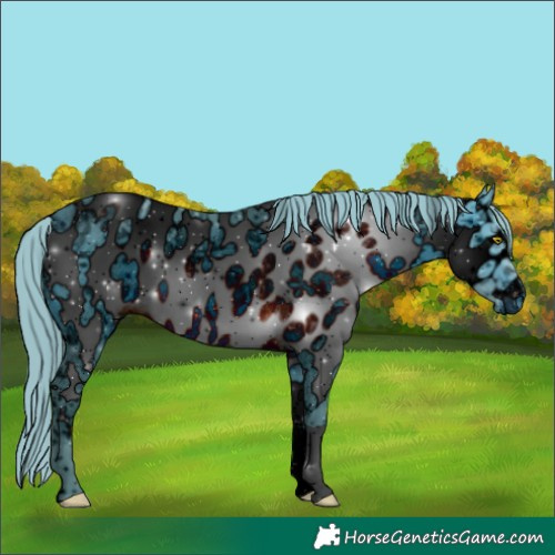 Horse Color:ERROR: UNKNOWN ANOMALY