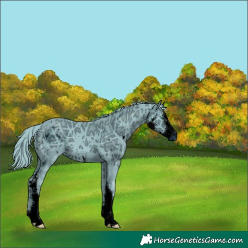 Horse Color:ERROR: UNKNOWN ANOMALY