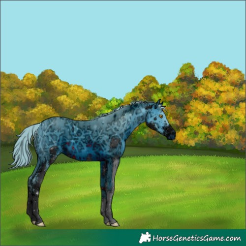 Horse Color:ERROR: UNKNOWN ANOMALY