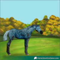 Horse Color:ERROR: UNKNOWN ANOMALY