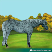 Horse Color:ERROR: UNKNOWN ANOMALY
