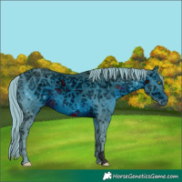 Horse Color:ERROR: UNKNOWN ANOMALY