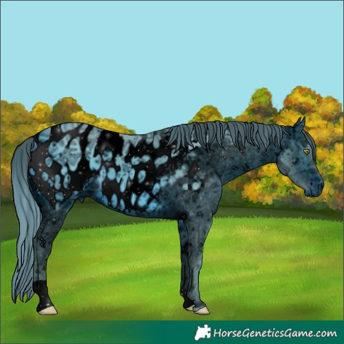 Horse Color:ERROR: UNKNOWN ANOMALY