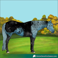 Horse Color:ERROR: UNKNOWN ANOMALY