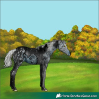 Horse Color:ERROR: UNKNOWN ANOMALY