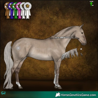 Horse Color:Silver Grullo Tobiano Rabicano