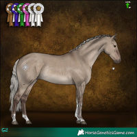 Horse Color:Silver Grullo Tobiano Rabicano