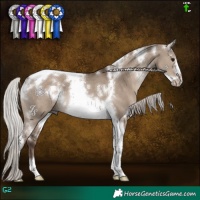 Horse Color:White Spotted Silver Grullo Tobiano Frame 