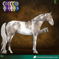Horse Color:White Spotted Silver Grullo Tobiano Frame 