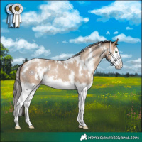 Horse Color:White Spotted Sable Champagne Dun Splash