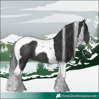 Horse Color:Black Tobiano 