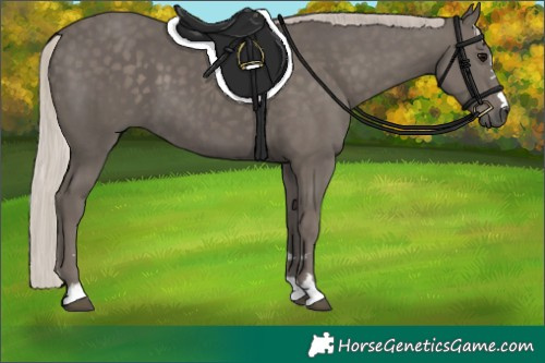 Horse Color:Silver Black 