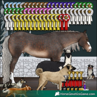 Horse Color:Silver Brown Varnish 