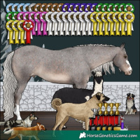 Horse Color:Silver Brown Appaloosa