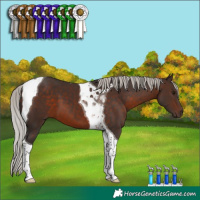 Horse Color:Silver Brown Tobiano