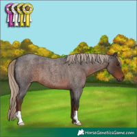 Horse Color:Liver Red Roan 