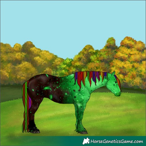 Horse Color:ERROR: UNKNOWN ANOMALY