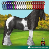 Horse Color:Liver Chestnut Tobiano 