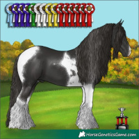 Horse Color:Liver Chestnut Tobiano