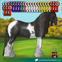 Horse Color:Liver Chestnut Tobiano 