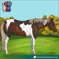 Horse Color:Liver Chestnut Tobiano 